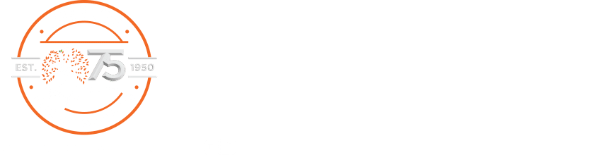 Mentis Africa Logo